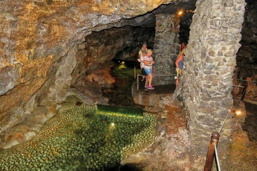 Madeira : Private wine experience by 4WD - Chão da Ribeira and Laurissilva, cow sheds and waterfall views