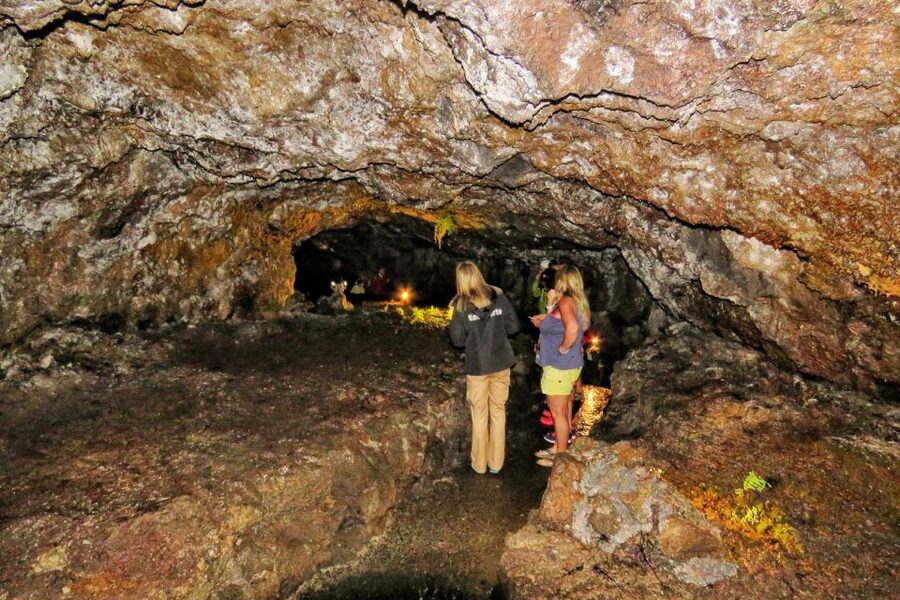 Madeira : Private wine experience by 4WD - The real value of a private 4x4 day on Madeira