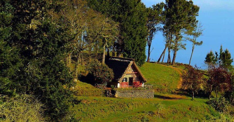 Madeira: Queimadas, Caldeirão Verde and Levada Walk - Key highlights at a glance