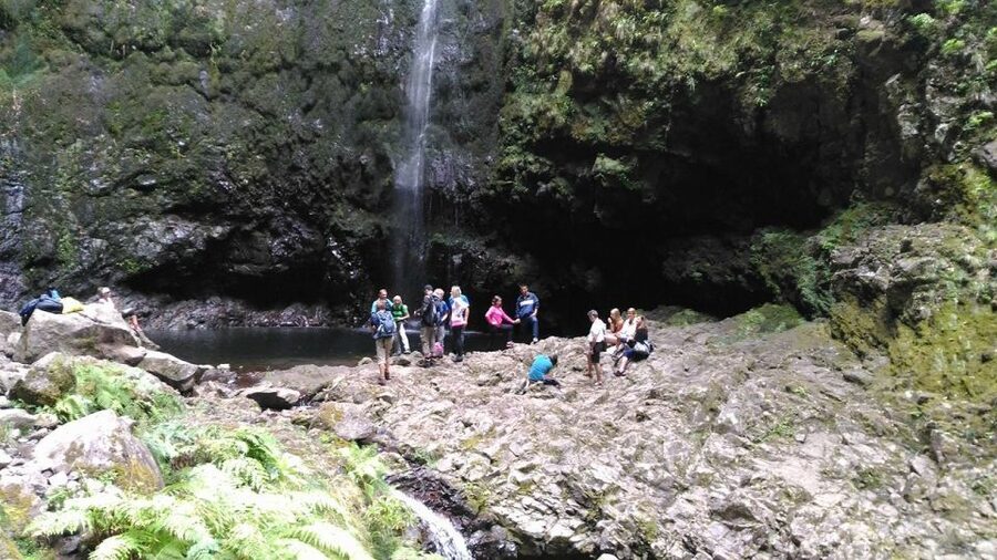 Madeira: Queimadas, Caldeirão Verde and Levada Walk - Who should book this, and who might skip it