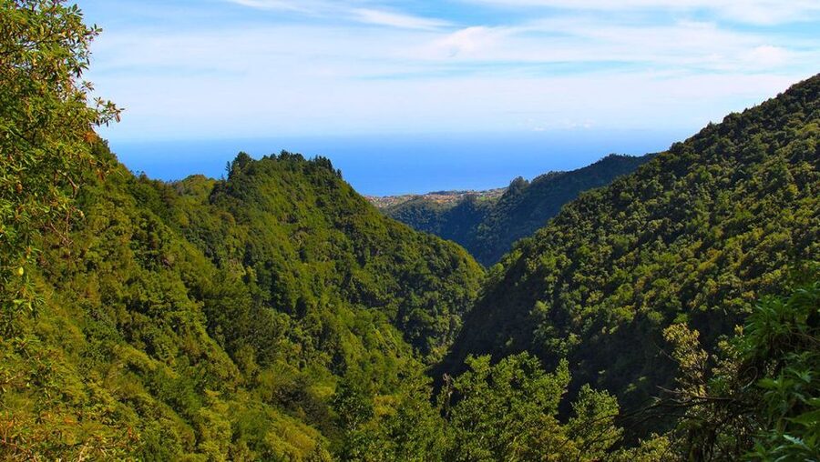 Madeira: Queimadas, Caldeirão Verde and Levada Walk - From Queimadas Guest House to the Levada da Serra de São Jorge walk