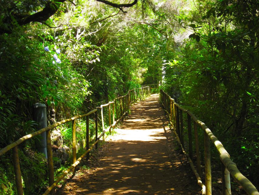 Madeira: Queimadas, Caldeirão Verde and Levada Walk - Price and value: why $50 makes sense for an 8-hour guided hike