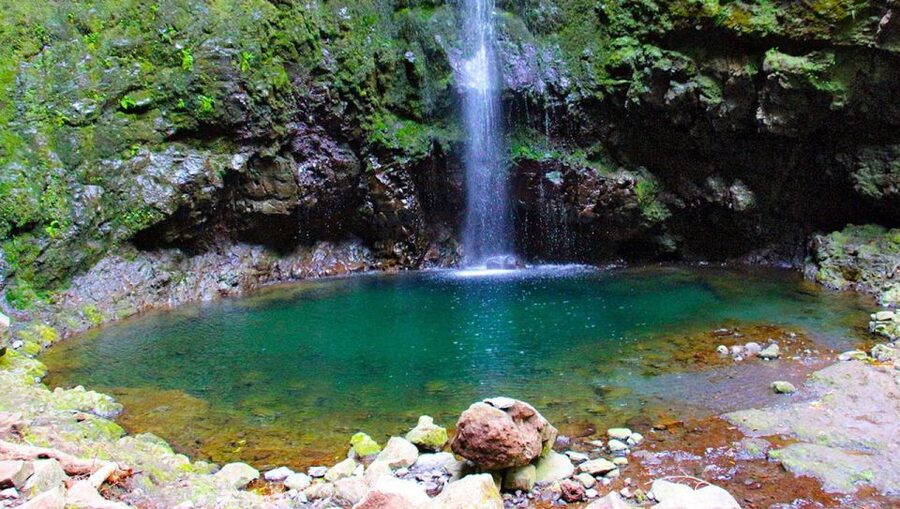 Madeira: Queimadas, Caldeirão Verde and Levada Walk - The levada path: village viewpoints, waterfall moments, and small tunnels