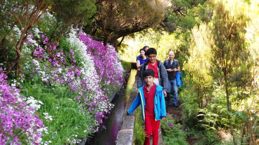 Madeira: Rabaçal 25 Fountains Levada Walk & Cabo Girão - From Funchal to Calheta: a short setup that matters