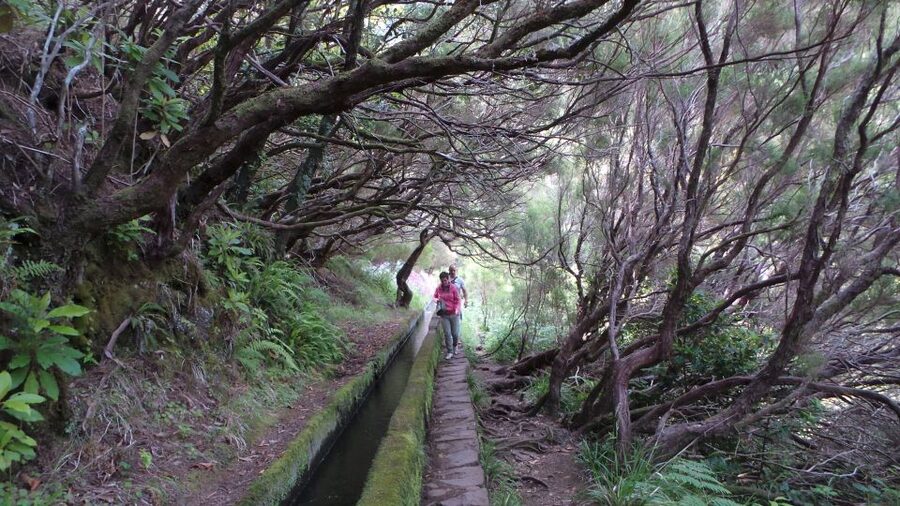 Madeira: Rabaçal 25 Fountains Levada Walk & Cabo Girão - Price and value: why $67 can actually make sense here