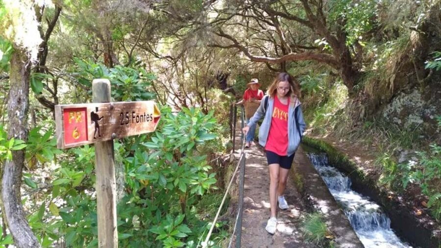 Madeira: Rabaçal, Risco and 25 Fontes Guided Hiking Tour - Key Things to Know Before You Go