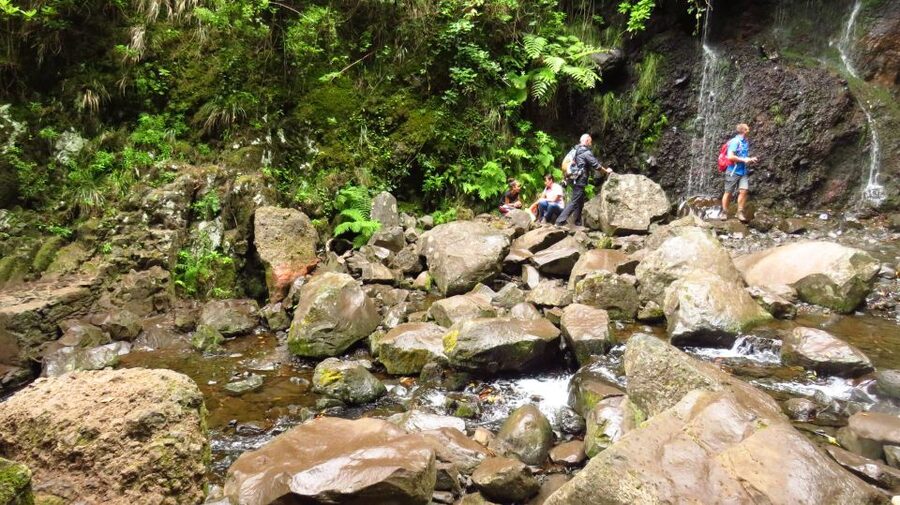Madeira: Rabaçal, Risco and 25 Fontes Guided Hiking Tour - The Return Via Cavaleiro Tunnel: An 800 m Shortcut Back to the Coast