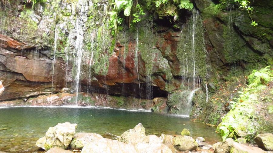 Madeira: Rabaçal, Risco and 25 Fontes Guided Hiking Tour - Getting From Funchal or Caniço to Paúl da Serra in One Organized Day