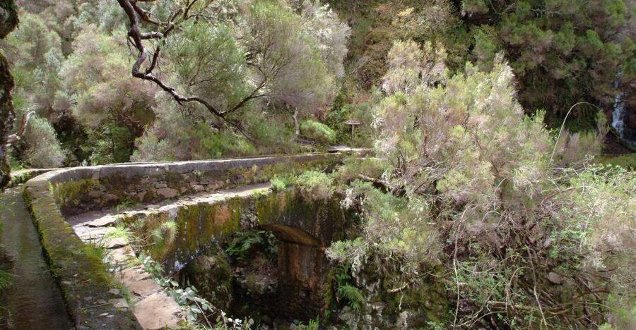 Madeira: Rabaçal Valleys 3-Hour Guided Walk - Key highlights at a glance