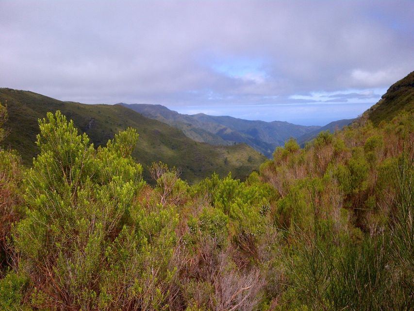 Madeira: Rabaçal Valleys 3-Hour Guided Walk - What You Actually Do on This Rabaçal Valleys Levada Walk