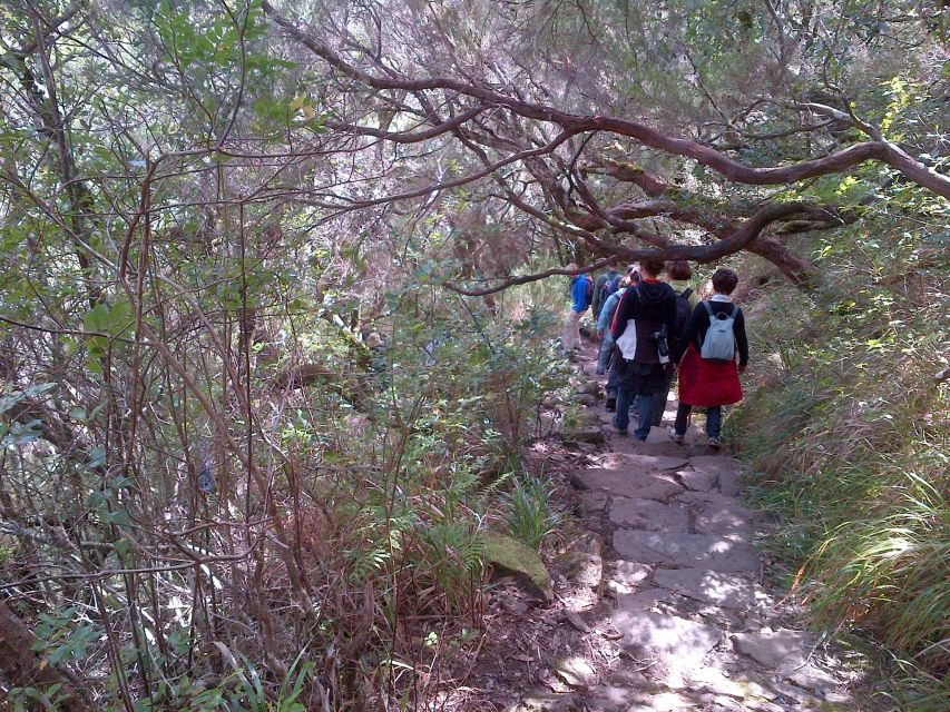 Madeira: Rabaçal Valleys 3-Hour Guided Walk - Hotel Pickup and Timing: Plan for Most of the Day