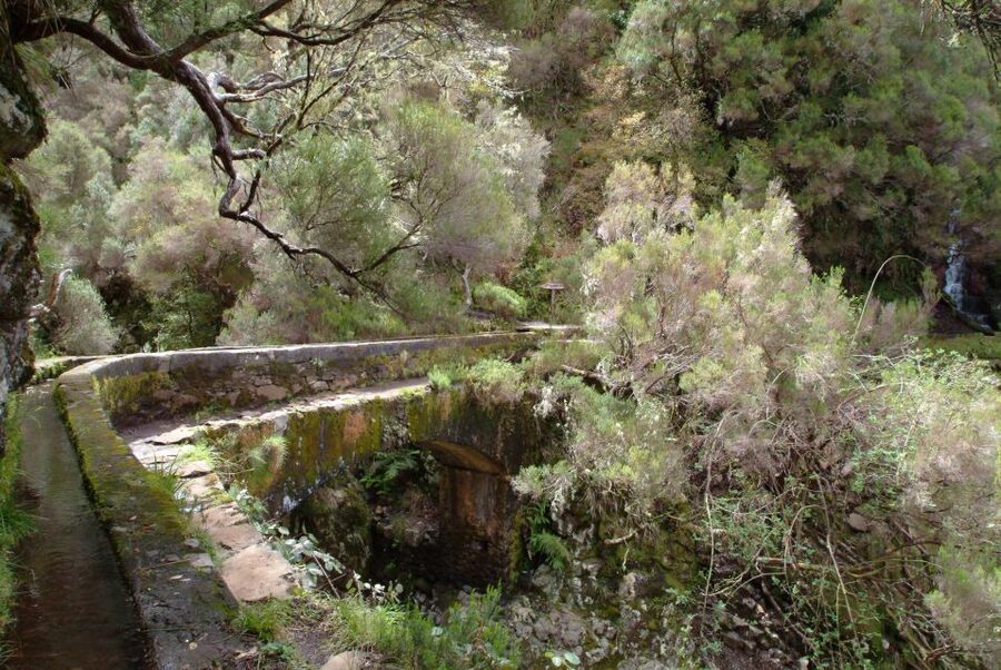 Madeira: Rabaçal Valleys 3-Hour Guided Walk - Languages and Guide Style: What You Can Expect to Hear