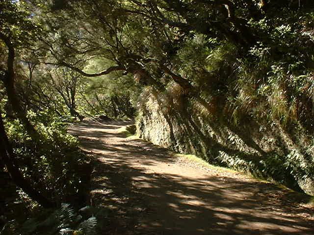 Madeira: Rabaçal Valleys 3-Hour Guided Walk - Price and Value: Is $48 Worth It?