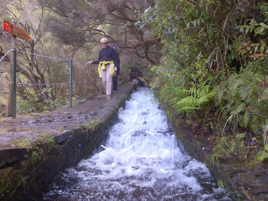 Madeira: Rabaçal Valleys 3-Hour Guided Walk - Laurisilva Forest: Why This Protected Green Changes With Altitude
