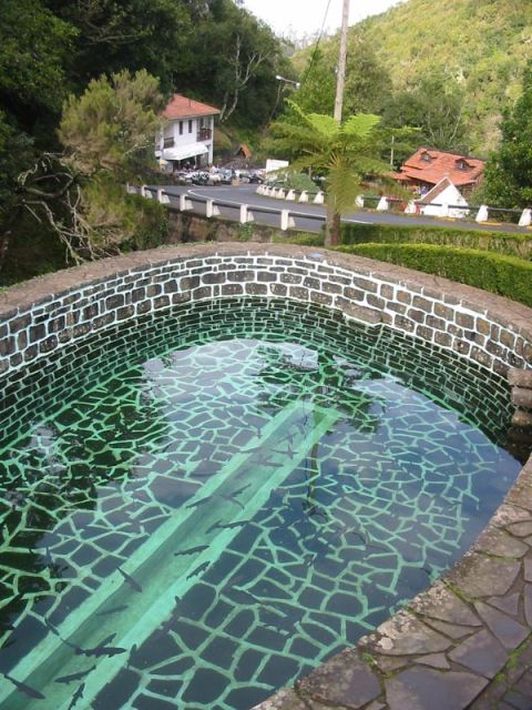 Madeira: Ribeiro Frio to Portela 4-Hour Guided Walk - Ribeiro Frio start: pickup, a trout-farm peek, and local knitting stalls
