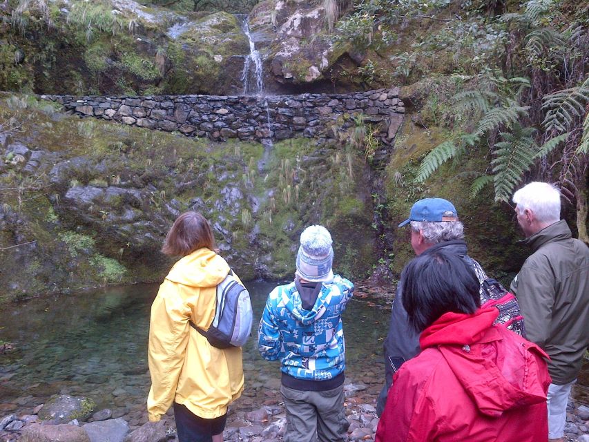 Madeira: Ribeiro Frio to Portela 4-Hour Guided Walk - The Laurisilva forest: why this UNESCO setting is the real star