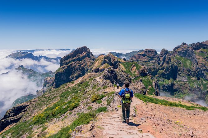 Madeira s highest Peaks - Birdlife and valley views, how to get more out of the scenery