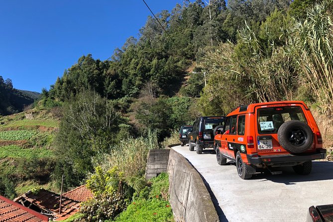Madeira Safari - East of the island - Why the East Madeira route feels better than a simple sightseeing loop