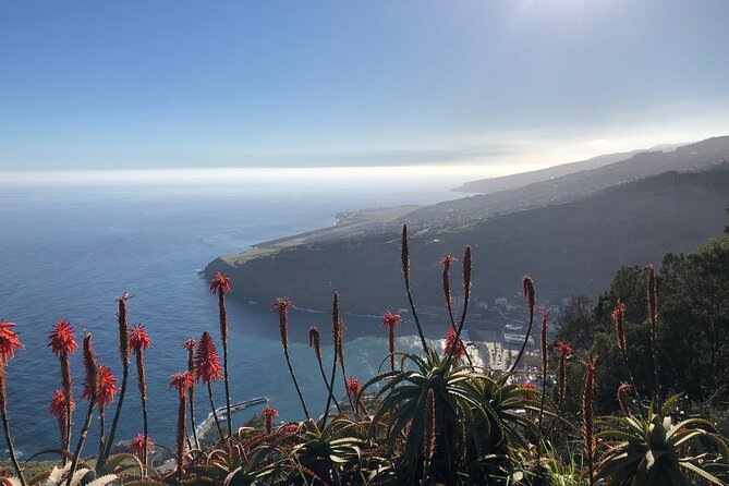 Madeira Safari - East of the island - Porto da Cruz: where the route turns toward coastal mood