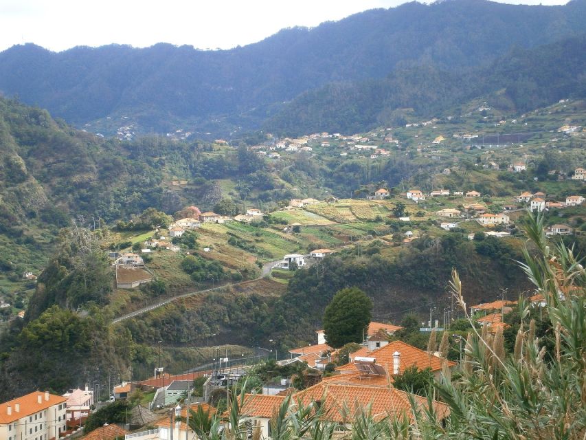 Madeira: Santana 6-Hour Full-Day Tour - What to expect on the ground: pacing, comfort, and guide style