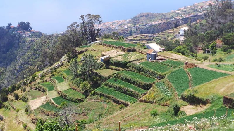 Madeira: Santana Jeep Safari and Balções Levada Walk - Pace, comfort, and what to bring for an 8-hour day