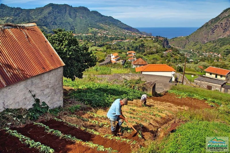Madeira: Santana Jeep Safari and Balções Levada Walk - Value for about $71: what you really get for the price
