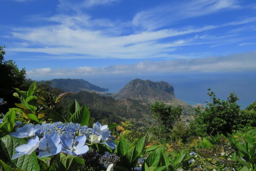 Madeira : Santo de Serra Local Farmers' Market half day trip - Market time, what to buy, and how to make it feel worth it