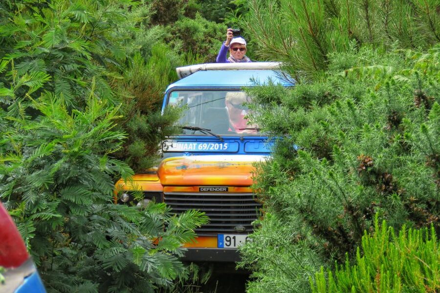 Madeira : Santo de Serra Local Farmers' Market half day trip - Pickup, small-group feel, and why $49 can make sense