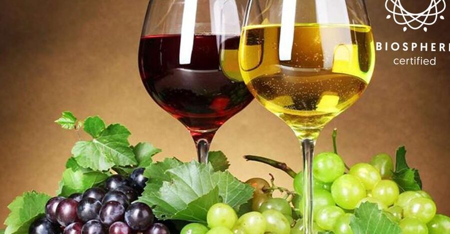 Madeira: Signature Wine Tasting, Skywalk & Nature Expedition - Key highlights to look forward to
