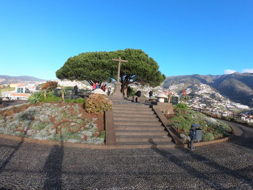 Madeira: Signature Wine Tasting, Skywalk & Nature Expedition - Who this tour suits best, and who should think twice