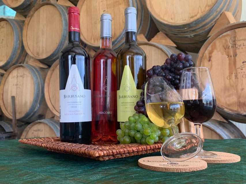 Madeira: Signature Wine Tasting, Skywalk & Nature Expedition - Serra d’Água to Miradouro da Encumeada, the day starts with altitude and views