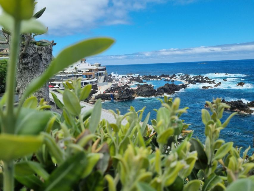 Madeira : SkyWalk, Fanal, Natural Pools 4x4 Jeep Tour - Porto Moniz Natural Swimming Pools: The Main Event
