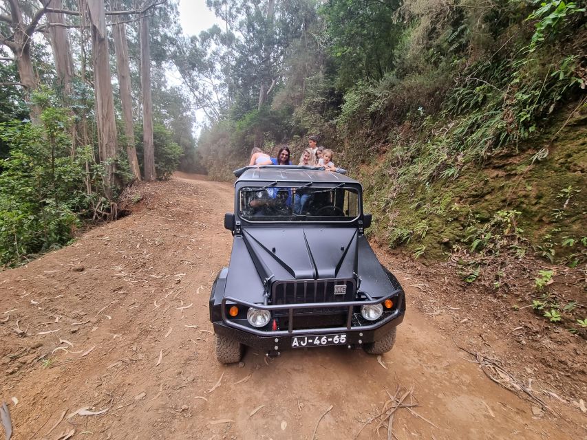 Madeira : SkyWalk, Fanal, Natural Pools 4x4 Jeep Tour - The Guide Factor: Why Edgar-style Guiding Changes the Day