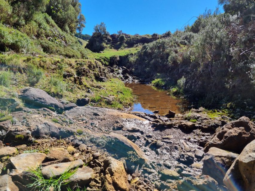 Madeira : SkyWalk, Fanal, Natural Pools 4x4 Jeep Tour - Stop 1: Câmara de Lobos for Guided Village Sightseeing