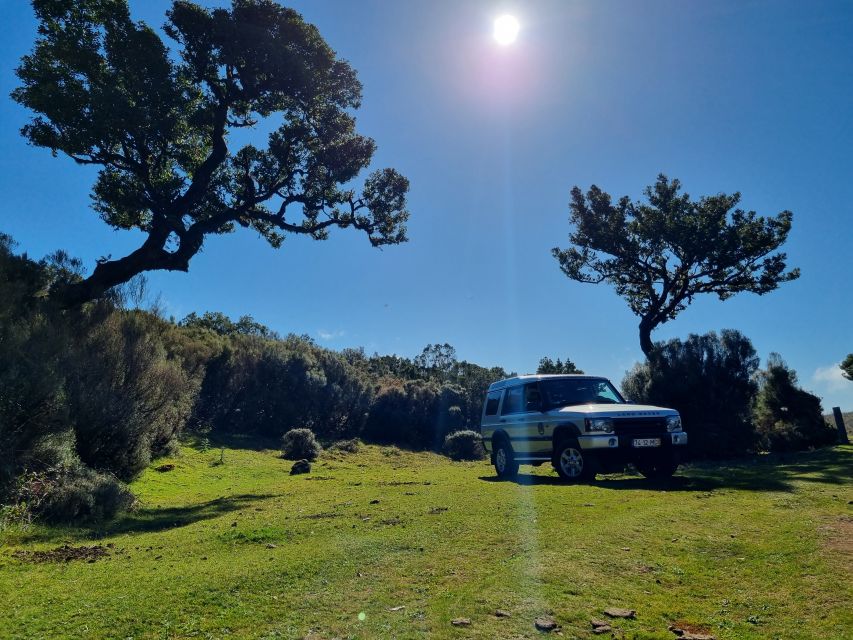 Madeira : SkyWalk, Fanal, Natural Pools 4x4 Jeep Tour - Quick Scenic Breaks: Campanário and Ponta do Sol