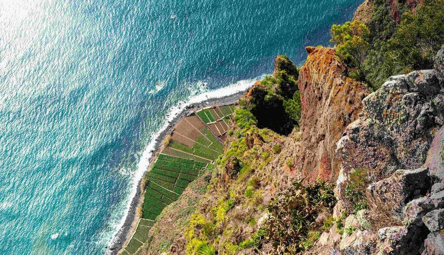 Madeira South Tour: Cabo Girão, Waterfalls for Cruise Ship - Key highlights worth your attention