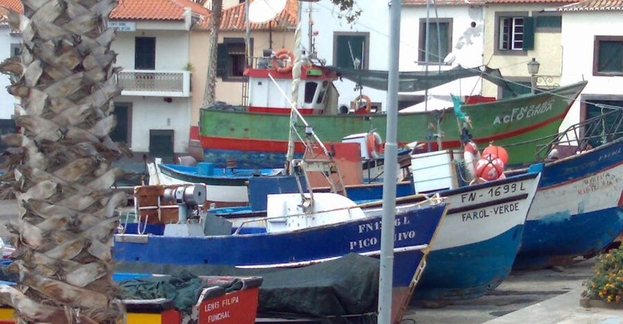 Madeira South West: Half Day Private Tour - What the guide actually does for you (and why it matters)