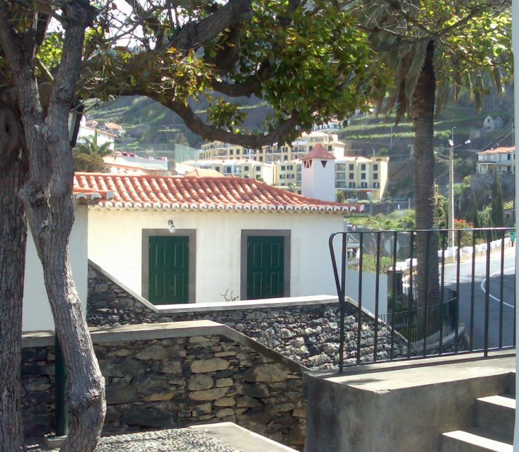 Madeira South West: Half Day Private Tour - Why western Madeira in a 4-hour private van feels like the right move