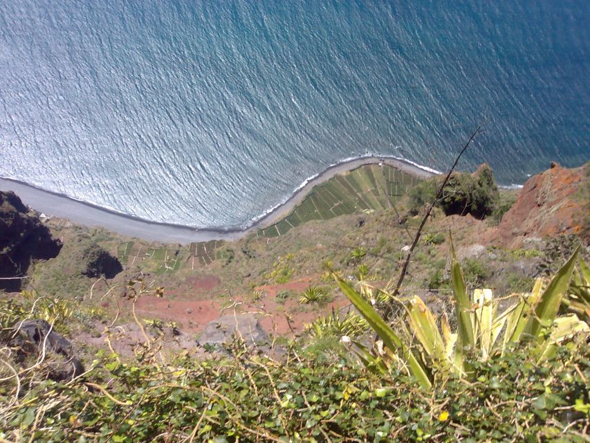 Madeira South West: Half Day Private Tour - Câmara de Lobos: the fishing village stop that sets the mood