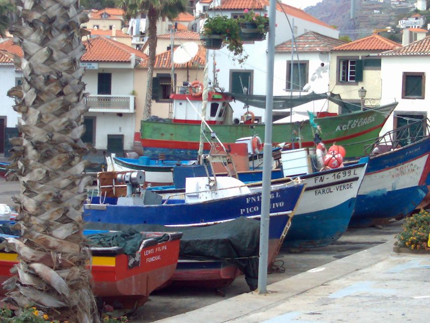 Madeira South West: Half Day Private Tour - Ribeira Brava: reading the coast through the meaning of its name