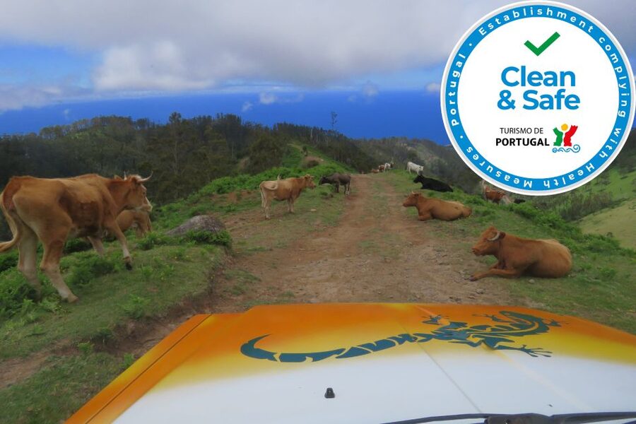 Madeira : Southwest coast, Run & Anjo´s Waterfall 4x4 Tour - Price and lunch: when the optional meal is worth it