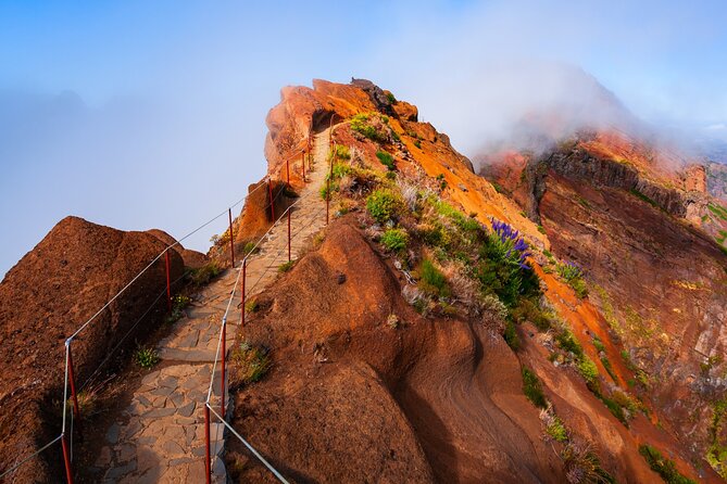 Madeira Stairway to Heaven to Larano Hike Mountain to Sea - Key highlights to know before you go