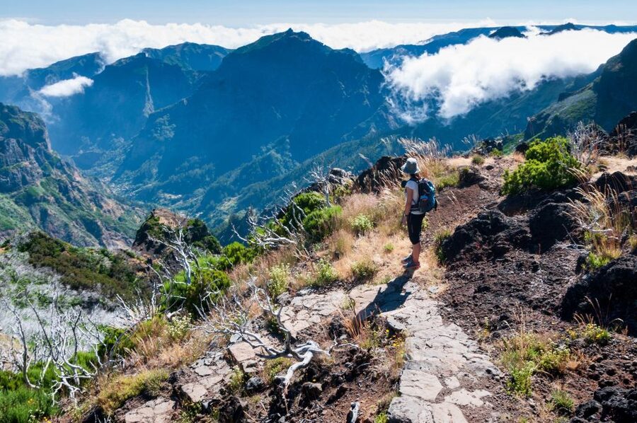 Madeira Stairway to Heaven to Larano Hike Mountain to Sea - Price and value: what you get for $88 per person
