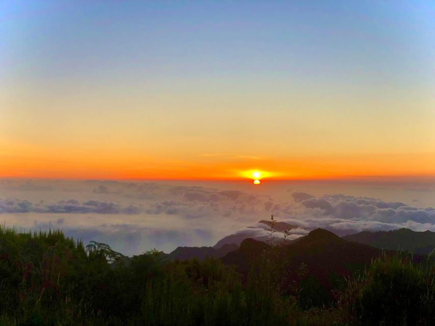 Madeira: Sunrise at Pico do Arieiro & Hike Larano trail - Should you book the Pico do Arieiro and Larano trail tour?