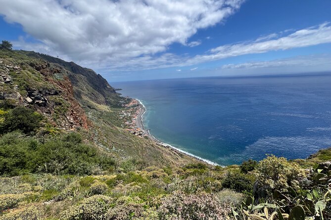 Madeira surprise tour - Paul da Serra plains: animals, open air, and 4x4 style roads