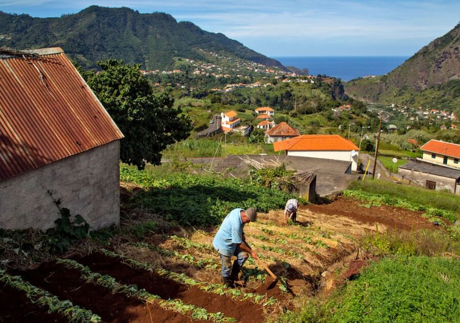 Madeira: The Best of South Jeep Tour - Jardim do Mar: A Scenic Drive Stop for Coastal Perspectives