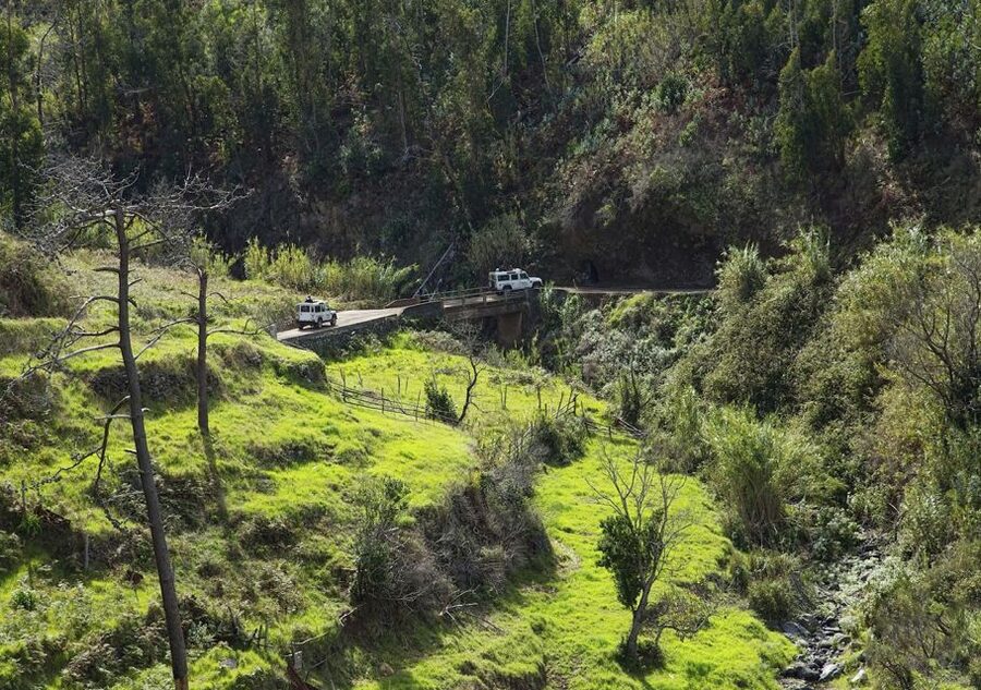 Madeira: The Best of South Jeep Tour - Santana’s Triangular Roofs and Ponta de São Lourenço: Culture Meets Coast