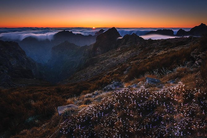 Madeira Top Sunrise - A safety and reliability note you should take seriously