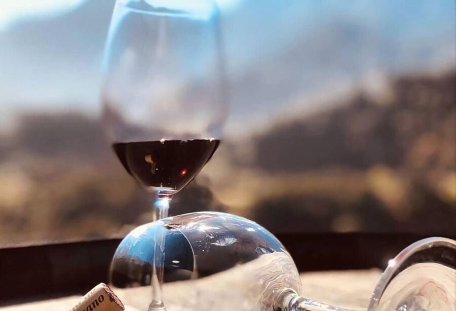 Madeira - Vineyard Tour Wine Tasting - Included - The human touch: guides that time the day and explain the why