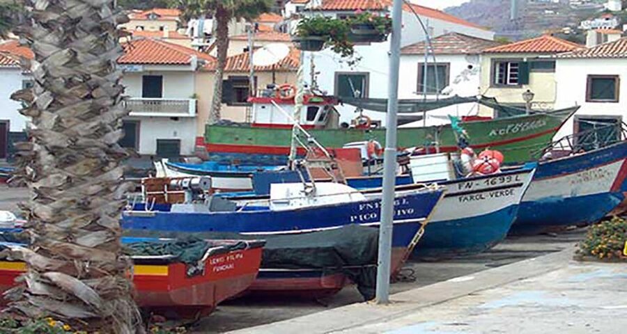 Madeira - Vineyard Tour Wine Tasting - Included - Should you book this vineyard wine tasting with Cabo Girão views?
